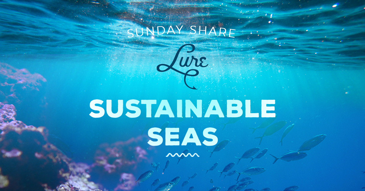 Sunday Share: Sustainable Seas